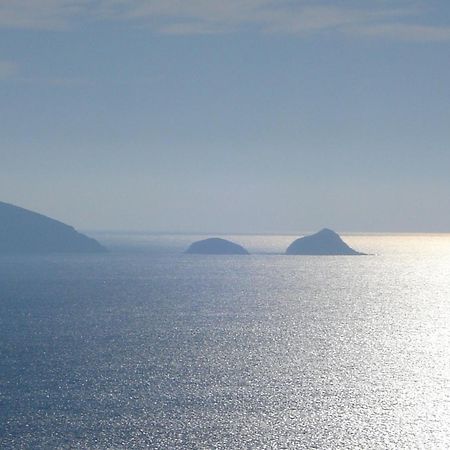 Villasoledad Appartamenti Per Vacanze Capoliveri  Bagian luar foto