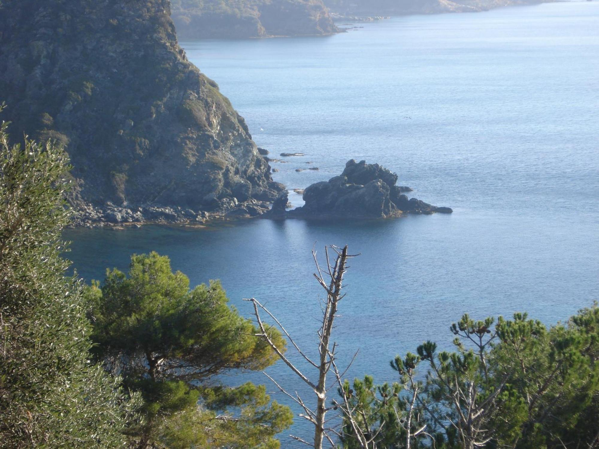 Villasoledad Appartamenti Per Vacanze Capoliveri  Bagian luar foto